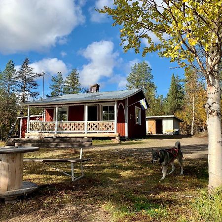 Off-Grid Cabin In Nattavaara Lapland Eksteriør bilde