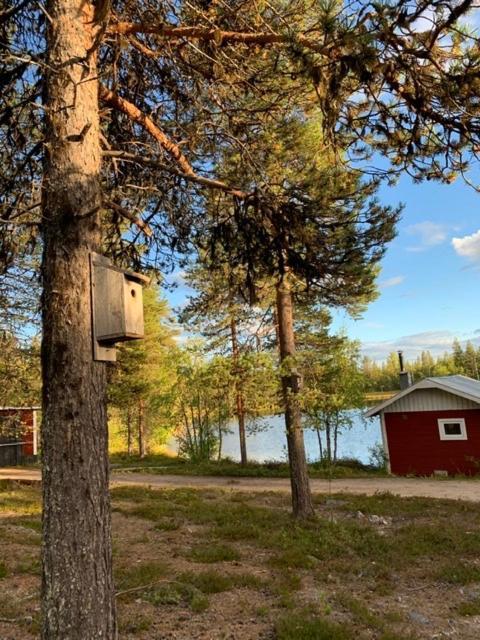Off-Grid Cabin In Nattavaara Lapland Eksteriør bilde