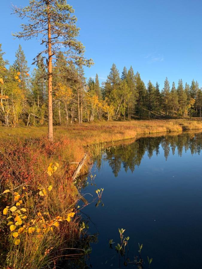 Off-Grid Cabin In Nattavaara Lapland Eksteriør bilde