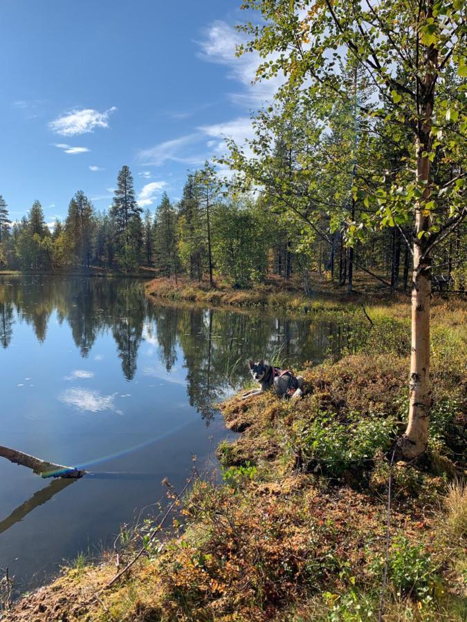 Off-Grid Cabin In Nattavaara Lapland Eksteriør bilde