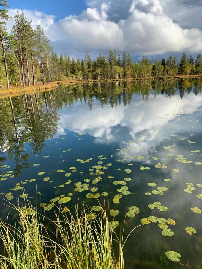 Off-Grid Cabin In Nattavaara Lapland Eksteriør bilde