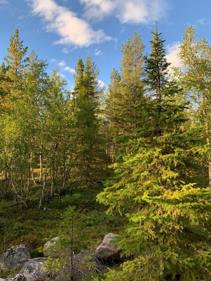 Off-Grid Cabin In Nattavaara Lapland Eksteriør bilde