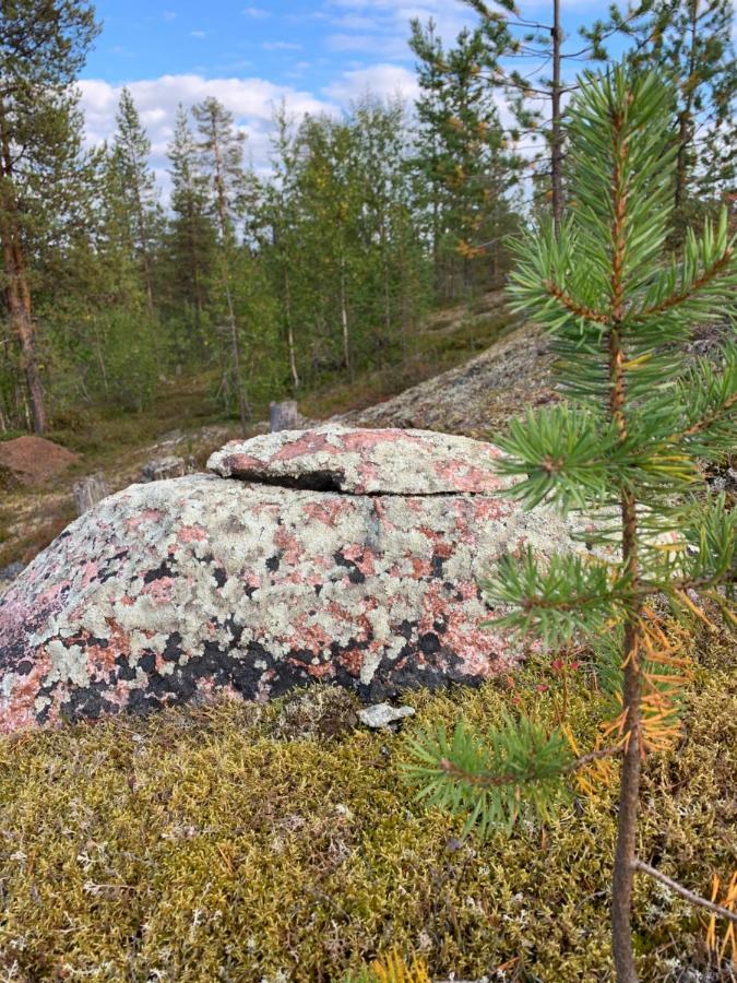 Off-Grid Cabin In Nattavaara Lapland Eksteriør bilde