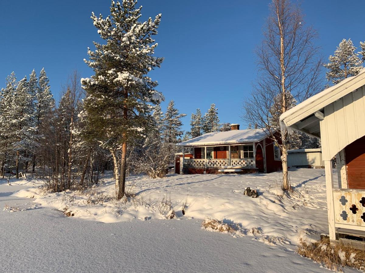 Off-Grid Cabin In Nattavaara Lapland Eksteriør bilde
